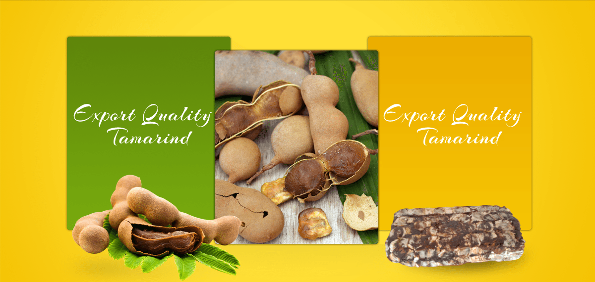 Thanu Exports